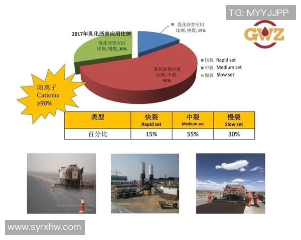 南京羽毛球队边路渗透战术解析与实战应用探讨