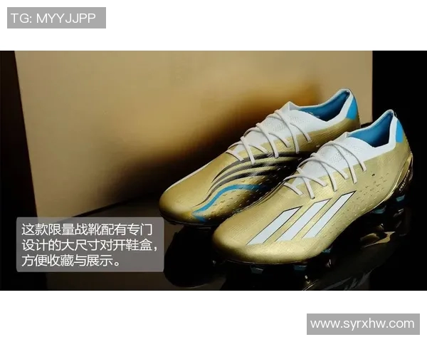 足球明星穿着的足球鞋价格揭秘及其背后的品牌故事
