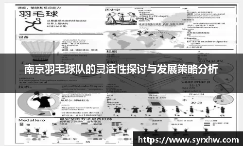 南京羽毛球队的灵活性探讨与发展策略分析